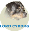 Lord Cyborg Von Rottssel