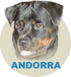 Andorra Franz Rottweiler