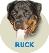 (A1) Ruck Dusty Von Rottssel