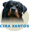 Cira Xantos WB Von Rottssel