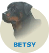 (A2) Betsy Eyka Von Rottssel