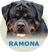 BR Security Special Ramona